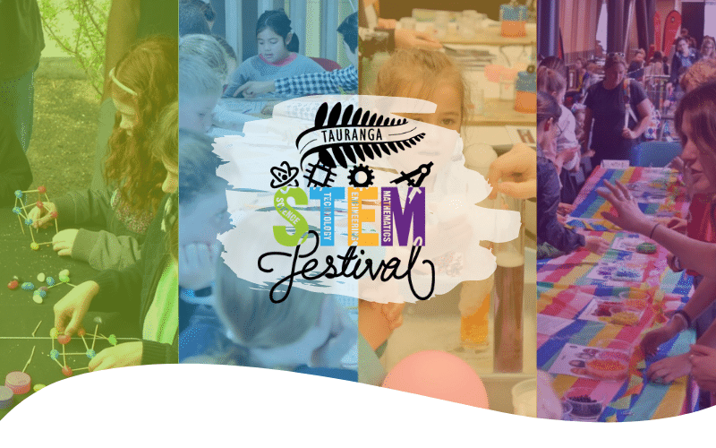 STEMFest Newsletter