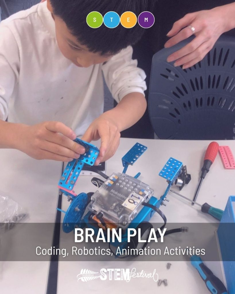 Brainplay