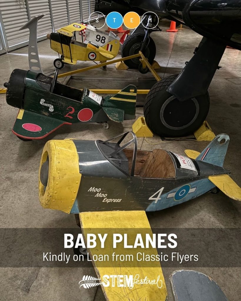 Fly a Baby Plane